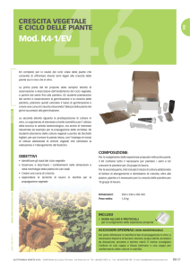 k4-1/ev - crescita vegetale e ciclo delle piante