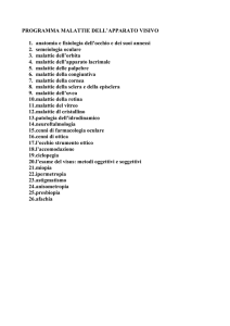 PROGRAMMA MALATTIE DELL`APPARATO VISIVO