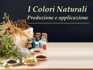 2014_AbitSostenibile_Fantuzzi 5,61 MB