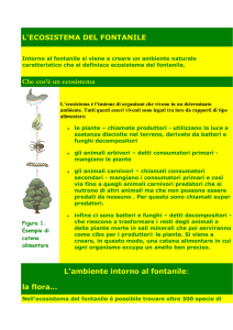 L`ECOSISTEMA DEL FONTANILE