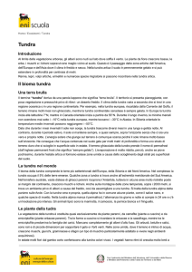 "Tundra" in pdf