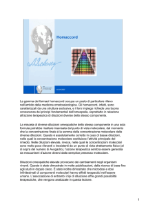 Homaccord: caratteristiche