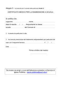 Certificato Medico Riammissione Scuola Pediculosi