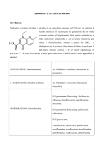 CHINOLONI E FLUOROCHINOLONI Introduzione Antibiotici a