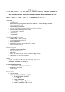 IIS P. Scalcerle CHIMICA MATERIALI E BIOTECNOLOGIE