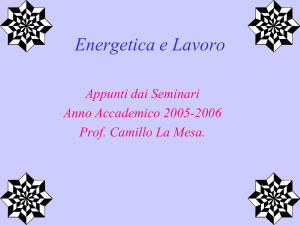Energetica e Lavoro - Dipartimento di Chimica