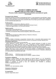 Occhio e camera oscura-Programma dettagliato