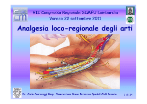 Analgesia loco-regionale degli arti