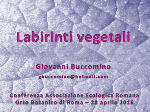 da questo link.