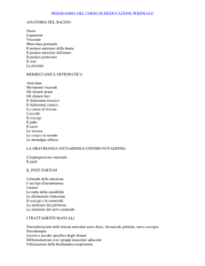 Programma Del Corso Di Rieducazione Perineale