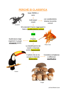 PERCHÈ SI CLASSIFICA