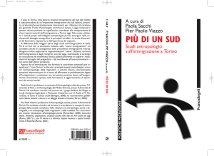 PIÙ DI UN SUD - FrancoAngeli