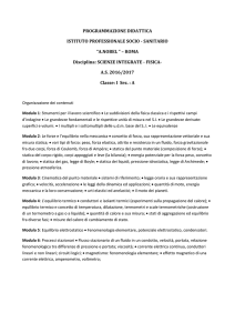 PROGRAMMAZIONE DIDATTICA ISTITUTO PROFESSIONALE