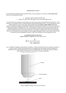 MICROSCOPIO OTTICO