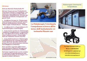 Fisio Brochure