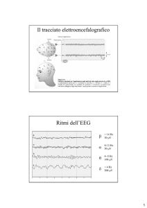 Il tracciato elettroencefalografico Ritmi dell`EEG