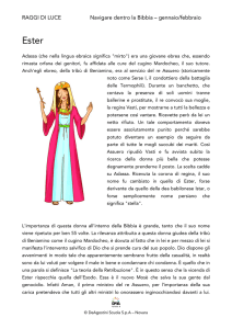 Scheda attività