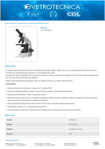 Stampa PDF - Vetrotecnica Srl
