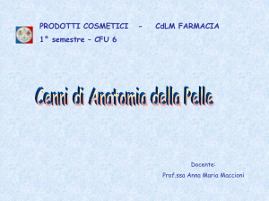 2s La pelle - I blog di Unica