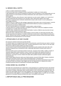 IL SENSO DELL`UDITO L`IPOACUSIA E LE SUE CAUSE COSA
