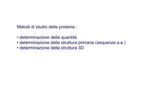 Metodi di studio delle proteine : • determinazione della quantità