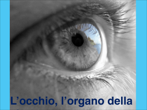 Presentazione occhio - Liceo "Camillo Golgi"