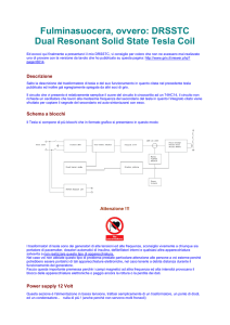 Scarica l`articolo completo del fulminasuocera in formato PDF
