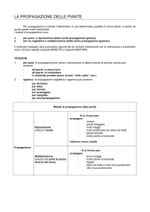 LA PROPAGAZIONE DELLE PIANTE
