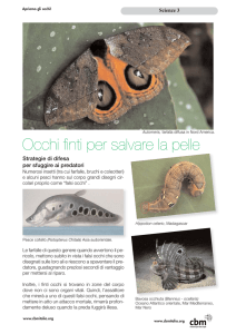 Scarica il PDF di “OCCHI FINTI” – per le CLASSI III