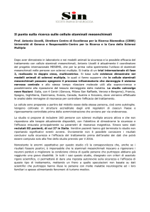 Il punto sulla ricerca sulle cellule staminali mesenchimali