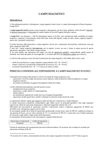 campi magnetici - Dipartimento di Matematica e Fisica