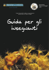 Associazione “Tegnue di Chioggia” onlus