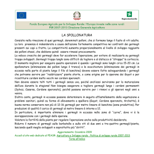la spollonatura