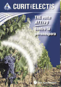 TRE volte ATTIVO peronospora