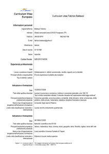 Curriculum Fabrizio Baldazzi