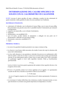 Relazione di laboratorio di Elisa Bielli e Viviana Bosello 3 G 16/4/2016