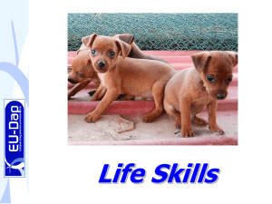 Presentazione di PowerPoint