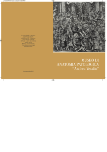 Museo di Anatomia Patologica "Andrea Vesalio".