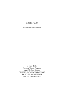 sassi neri - Ceas Valtrebbia