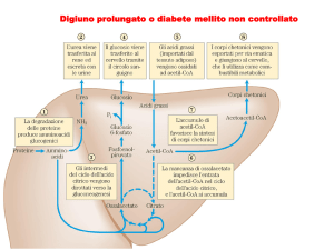 Diabete di tipo 1