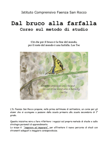DAL BRUCO ALLA FARFALLA corso sul metodo di studio