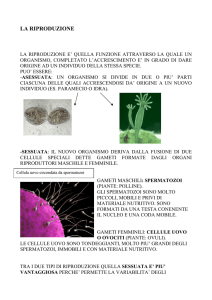 LA RIPRODUZIONE