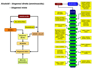 Diapositiva 1