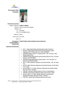 CV LORETTI ENRICO