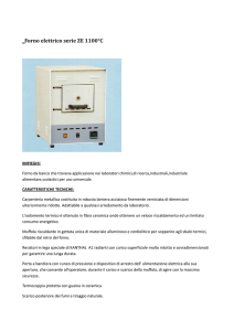Forno elettrico serie ZE 1100°C