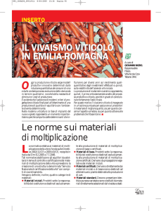 Inserto Il vivaismo viticolo in Emilia-Romagna