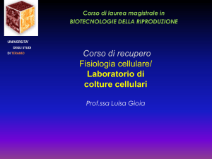 Diapositiva 1 - Progetto e