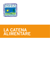 La Catena Alimentare