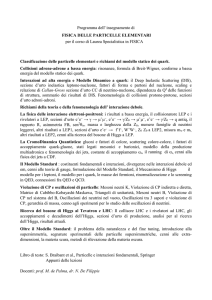 Programma dell` insegnamento di FISICA DELLE PARTICELLE