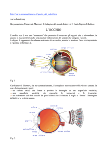 L`OCCHIO